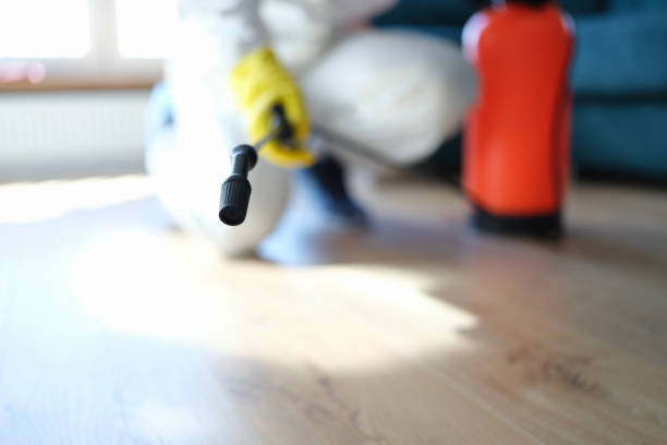Best Industrial Mold Remediation  in Pacific City, OR